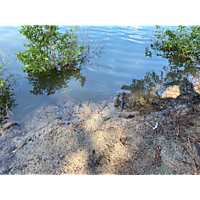 King tide image